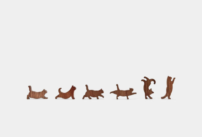 Orange-cat-2
