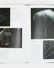 Book-of-trees5