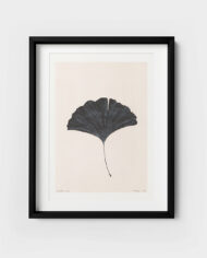 Frois-Gingko-front-black