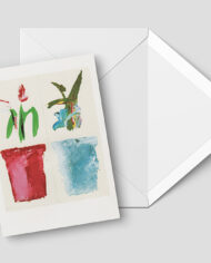 Vaso1-envelope