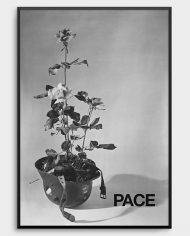 Pace-Poster-2