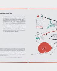 Machine-Munari-3
