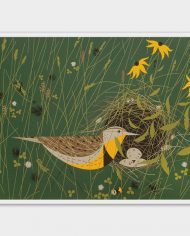 Charley-Postcards-3